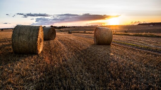 Summer nightfall straw bale photo