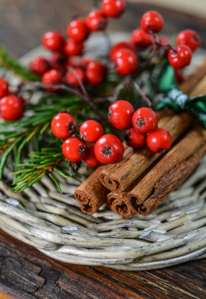 Holiday celebration season