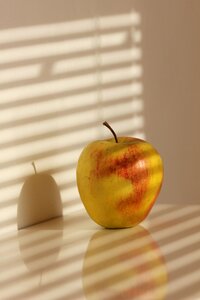 Shadow fruit light photo