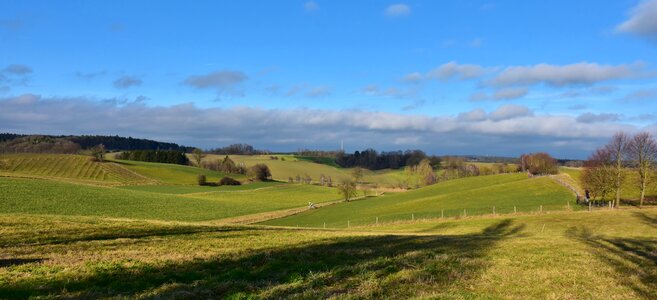 Grass sky agriculture photo