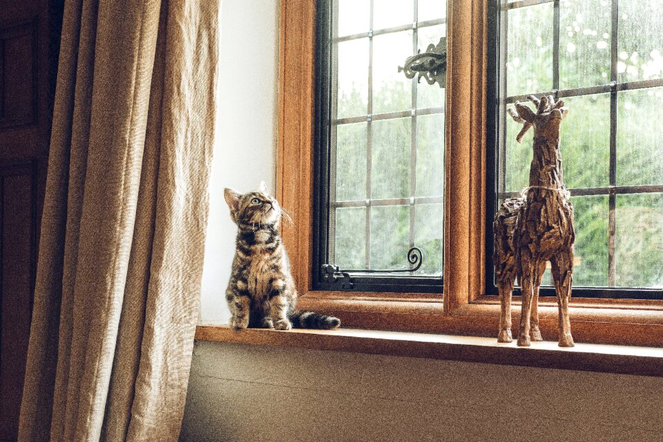 Glass frame curtain