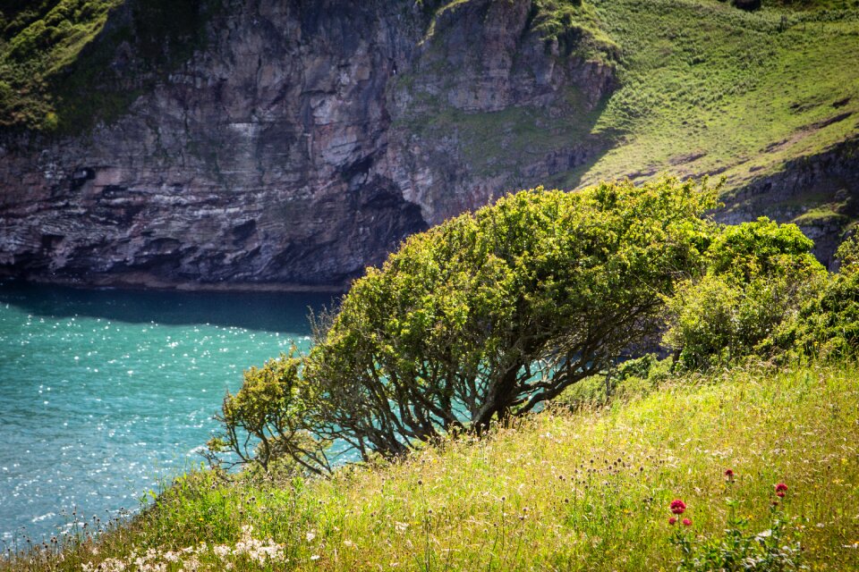Berry head sea england