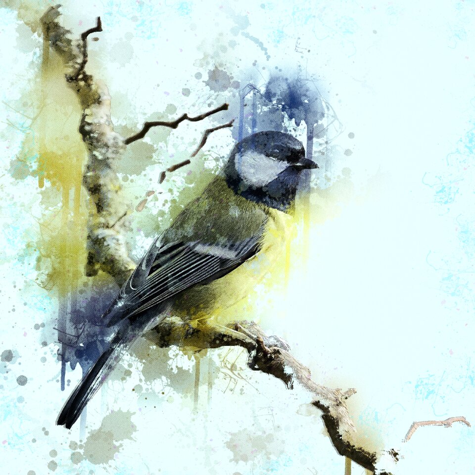 Animal nature wild animals