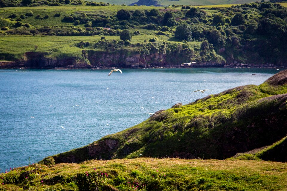 Berry head sea england