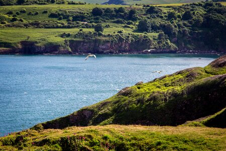 Berry head sea england