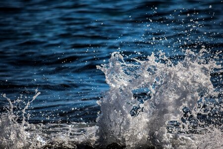 Wave nature motion