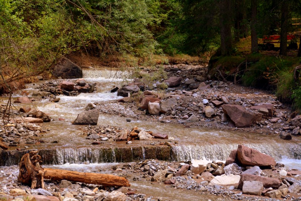 Forest nature mountain photo