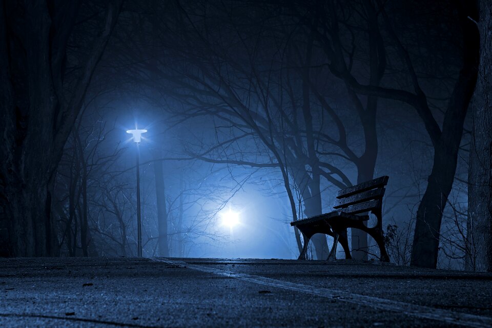 The fog the darkness tree