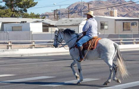 Street transportation system people