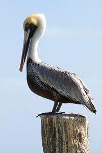 Beak water riviera maya