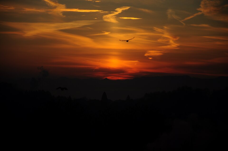 Sunrise bird clouds photo