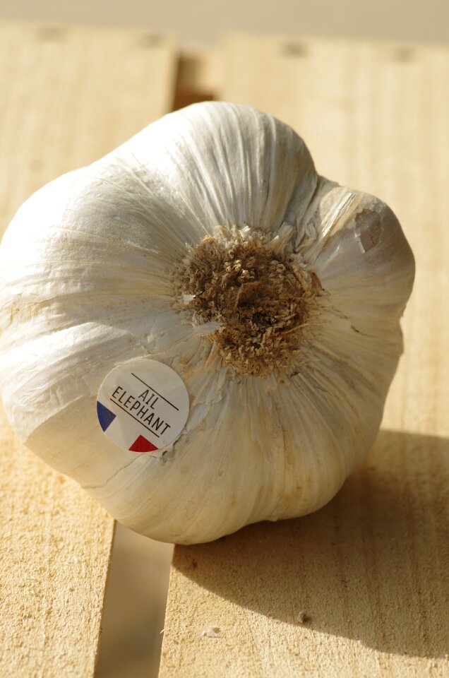 Garlic grown vegetable kitchen