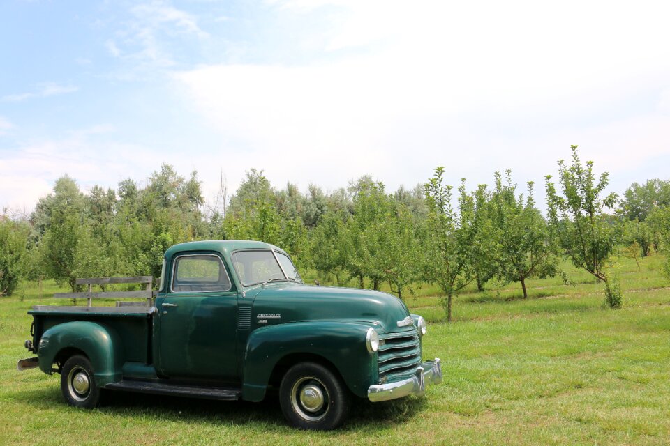 Agriculture transport vehicle
