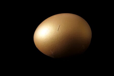 Yolk golden egg food photo