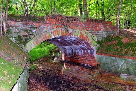 Old ditch rotten