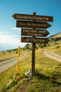 Travel nature direction