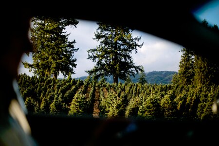 Mountain view car