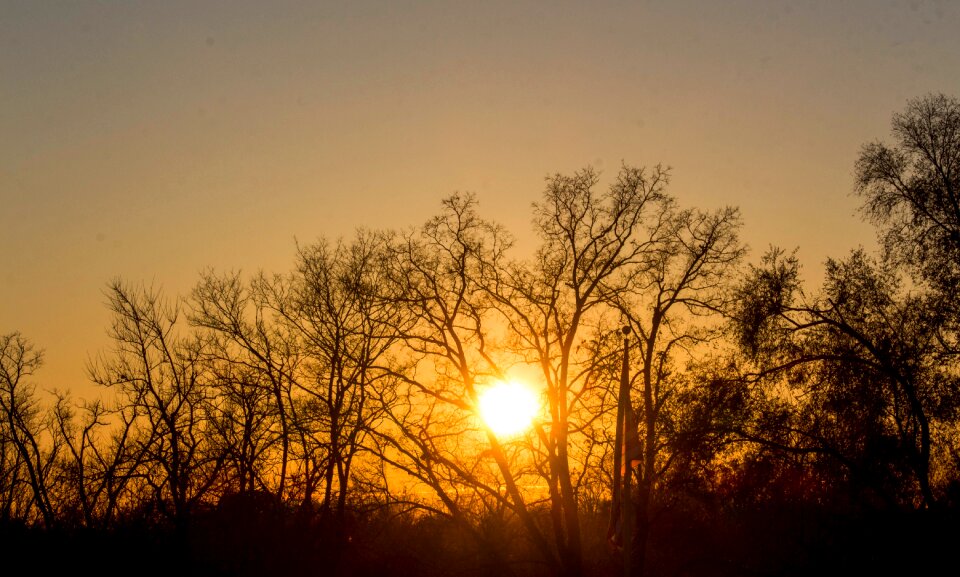 Nature sunset sun