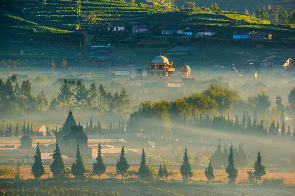 Fog smoke architecture