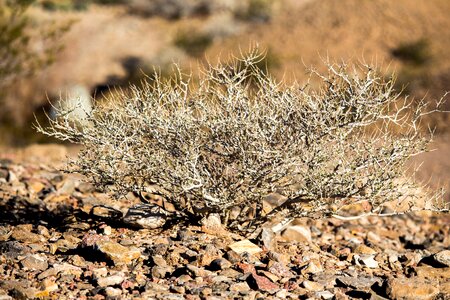 Desert outdoors sand