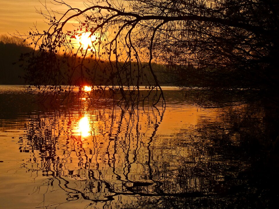 Twilight summer landscape