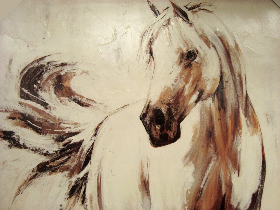 Animal mammal equidae