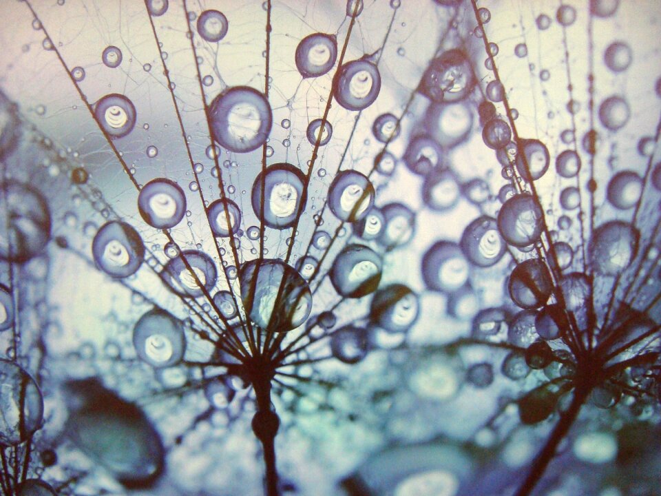 Abstract design gray abstract