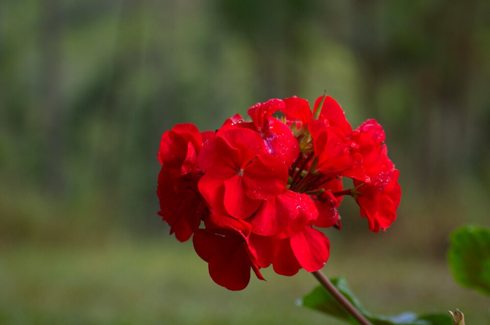 Outdoors summer color