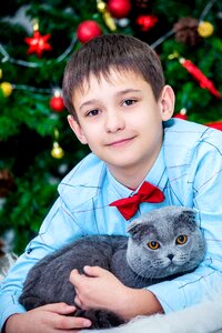 Cat christmas background christmas