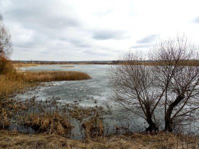 Belarus (33778259802)