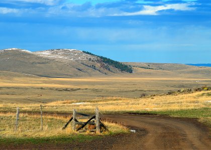 0058 zumwalt prairie swart odfw (27203258205)