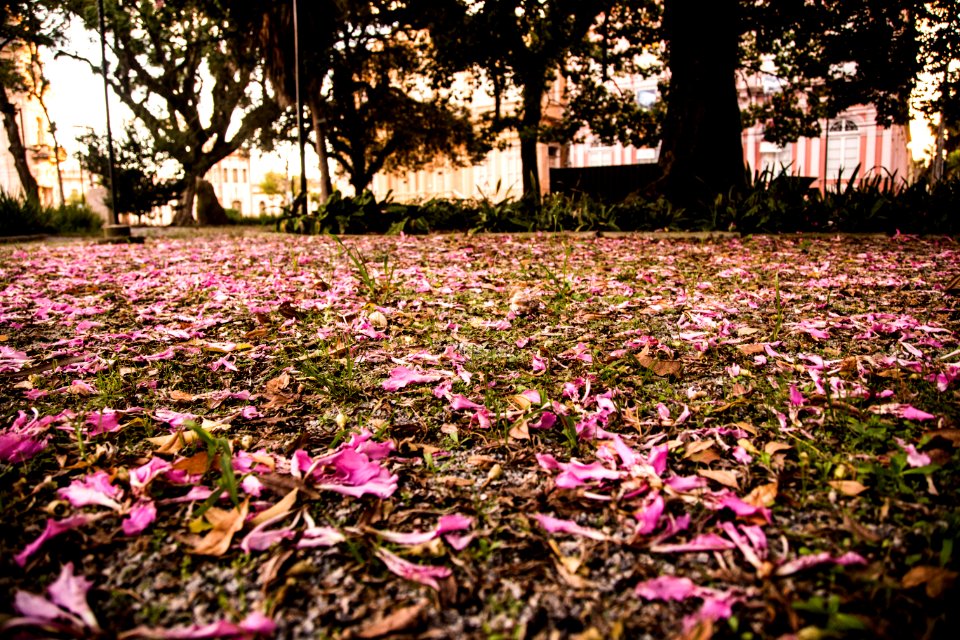 11.04.2021 - Pelotas em Lockdown - Foto Gustavo Vara (51114065798)