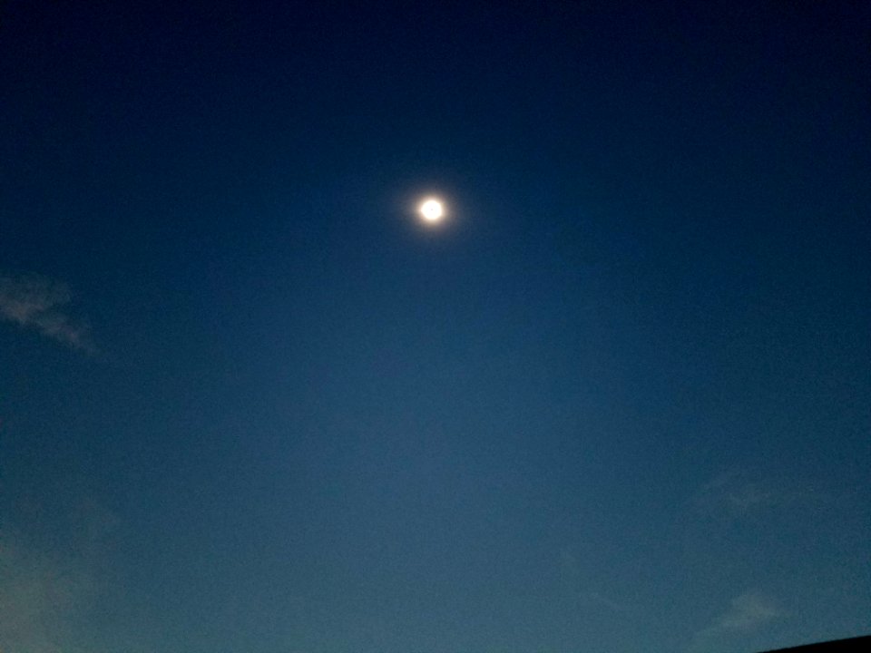 2 33pm (36599874711)