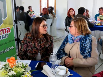 2017.05.04.Lanzamiento Programas Jefas de Hogar, 4a7 y Escuela de Emprendimiento La Cisterna (33722007973)