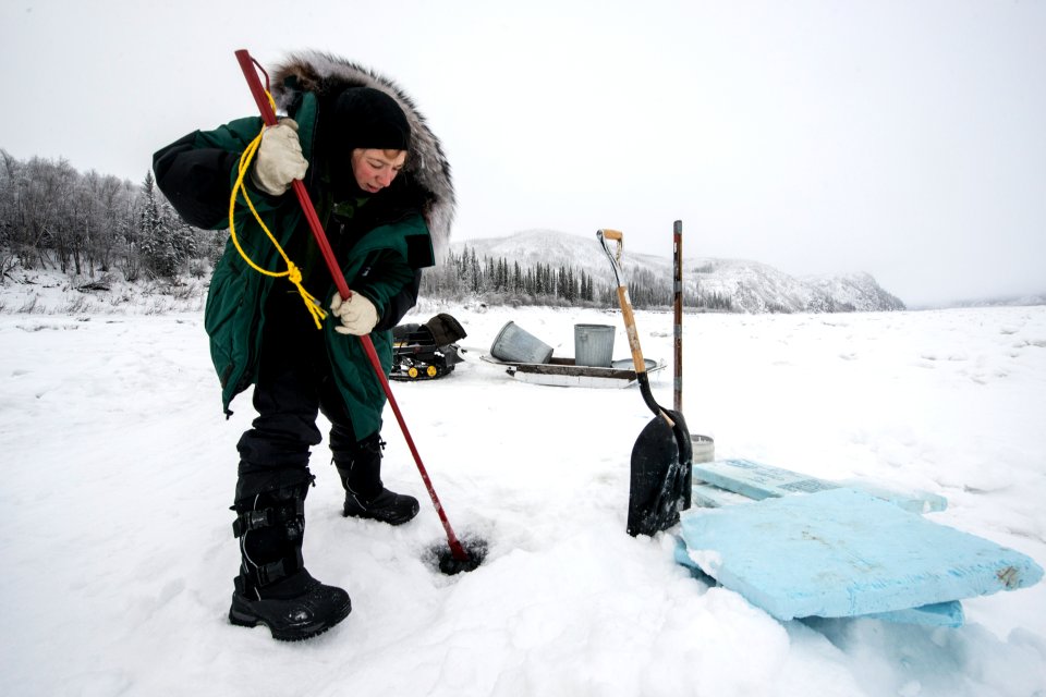 2016 Yukon Quest in Yukon-Charley - Slaven's Roadhouse (26474210654)