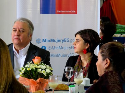 2017.05.04.Lanzamiento Programas Jefas de Hogar, 4a7 y Escuela de Emprendimiento La Cisterna (33689806804)