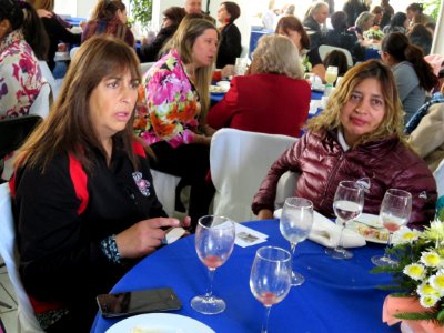 2017.05.04.Lanzamiento Programas Jefas de Hogar, 4a7 y Escuela de Emprendimiento La Cisterna (34371655802)