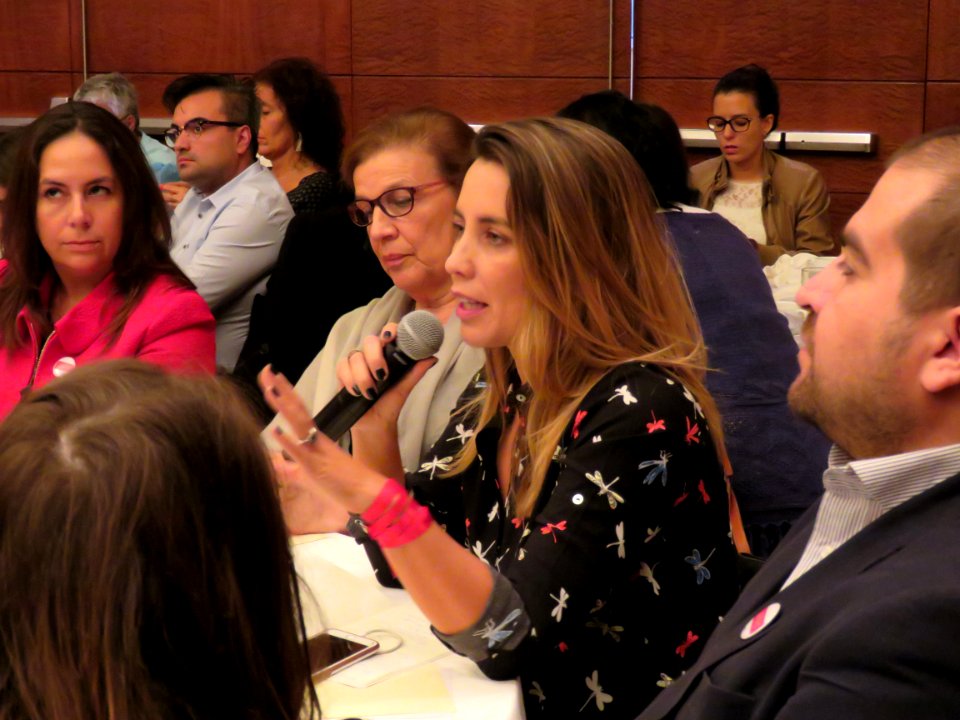 2017.04.13.Seminario ProHUmana (33862850322)
