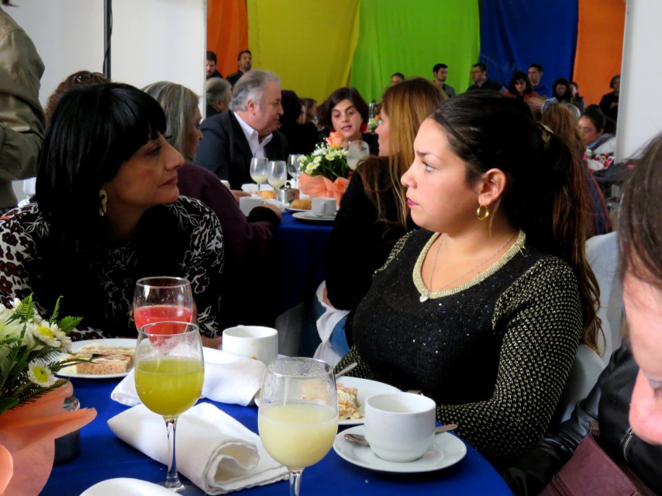 2017.05.04.Lanzamiento Programas Jefas de Hogar, 4a7 y Escuela de Emprendimiento La Cisterna (34532602665)