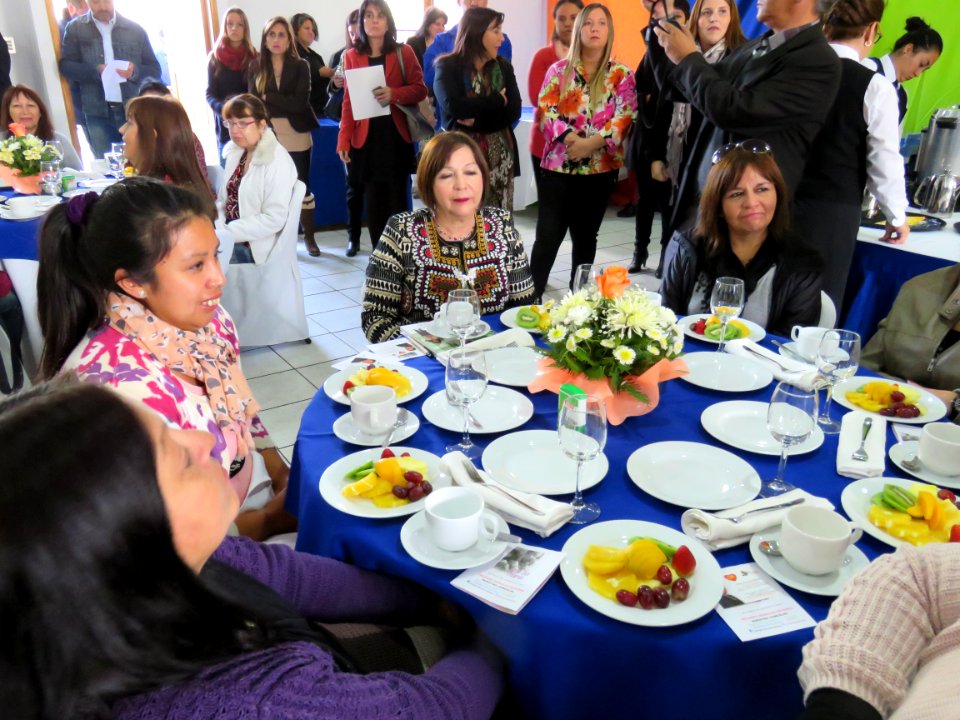 2017.05.04.Lanzamiento Programas Jefas de Hogar, 4a7 y Escuela de Emprendimiento La Cisterna (34532617165)