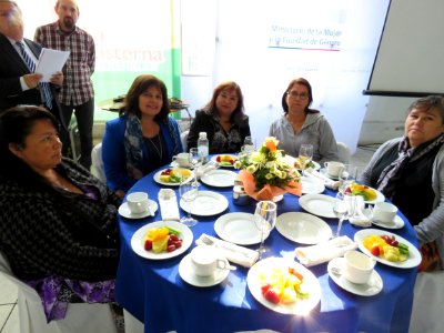 2017.05.04.Lanzamiento Programas Jefas de Hogar, 4a7 y Escuela de Emprendimiento La Cisterna (34402525791)