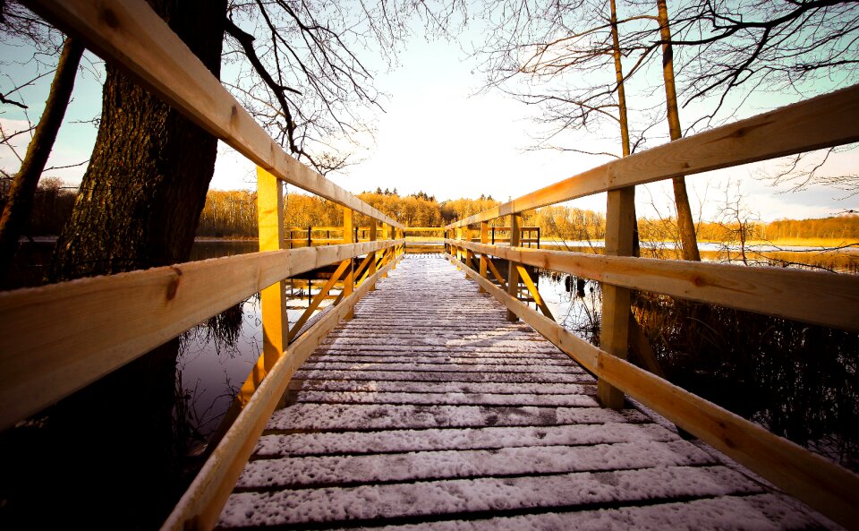 Wooden architecture tree