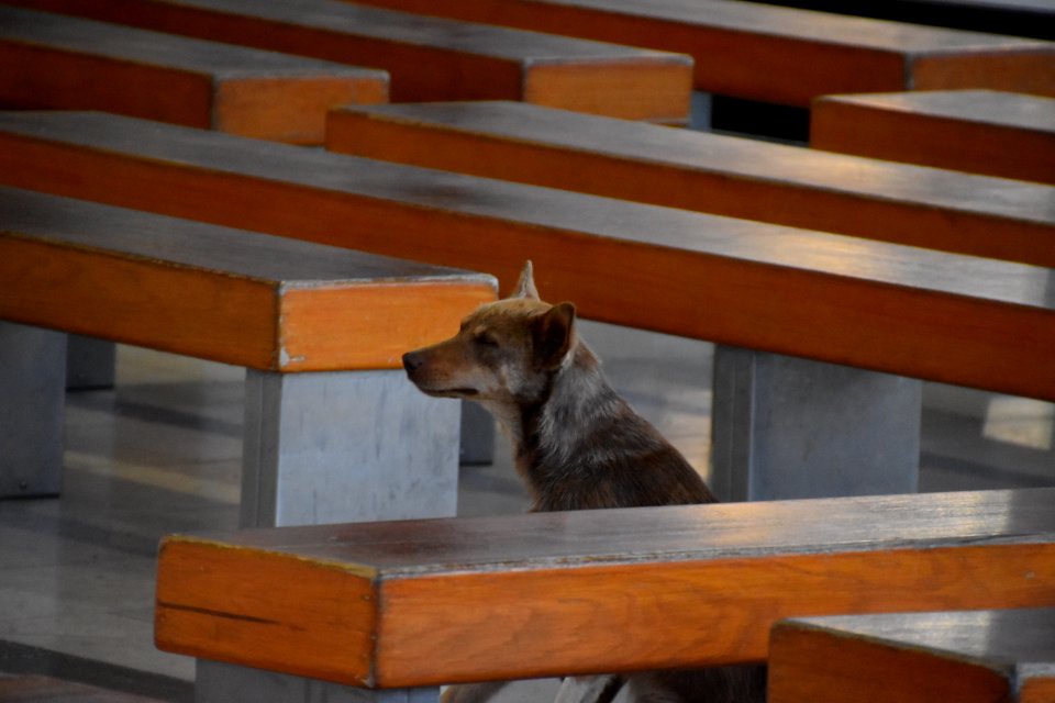 20190529 Spain and Portugal El Camino Pilgrimage 1082 (48002539717)