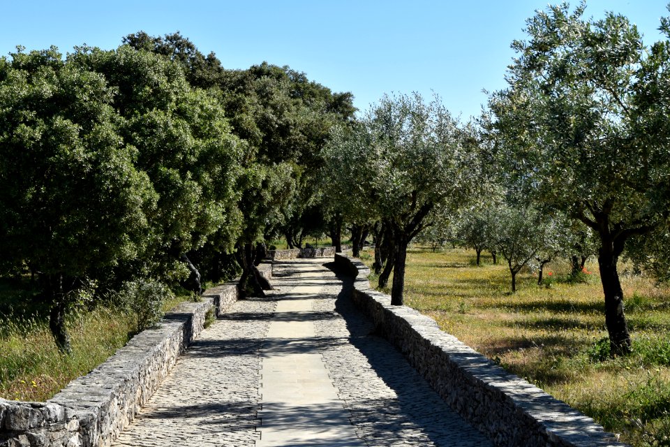 20190530 Spain and Portugal El Camino Pilgrimage 0155 (48002440497)
