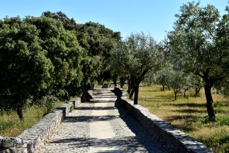 20190530 Spain and Portugal El Camino Pilgrimage 0155 (48002440497)