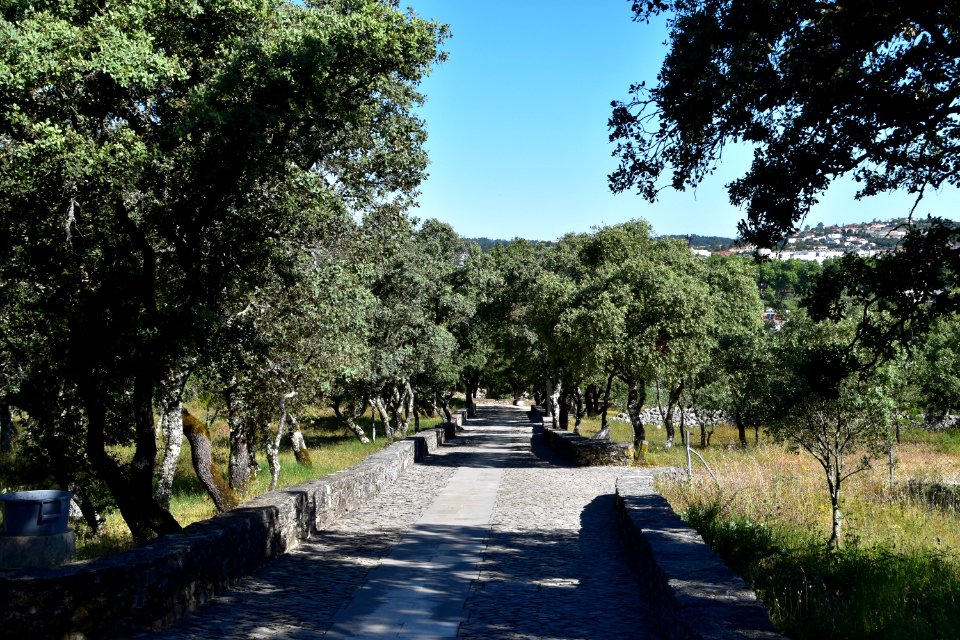20190530 Spain and Portugal El Camino Pilgrimage 0160 (48002586721)