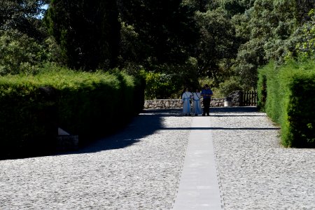 20190530 Spain and Portugal El Camino Pilgrimage 0223 (48002515272)