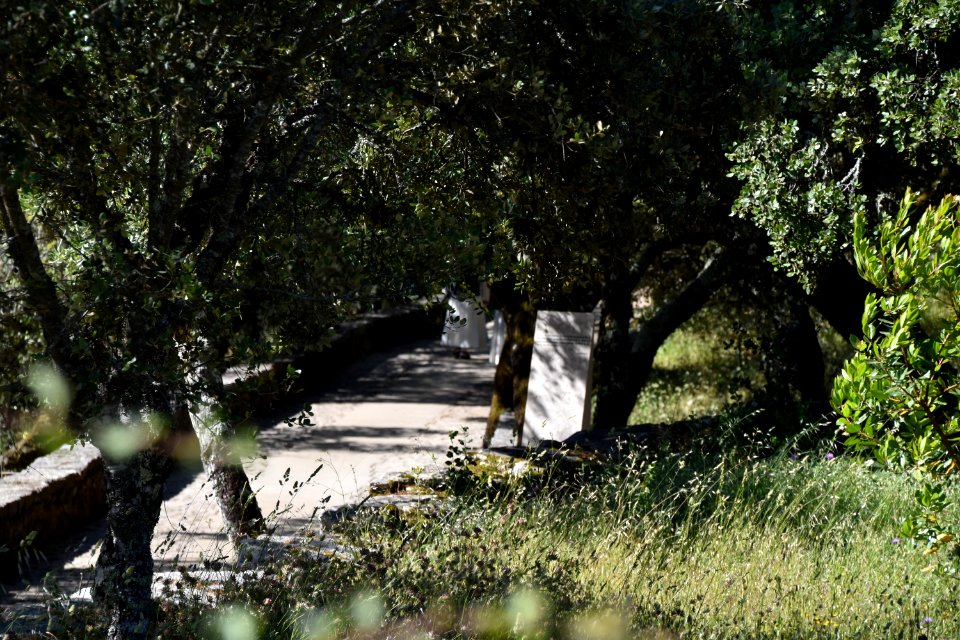 20190530 Spain and Portugal El Camino Pilgrimage 0198 (48002578251)