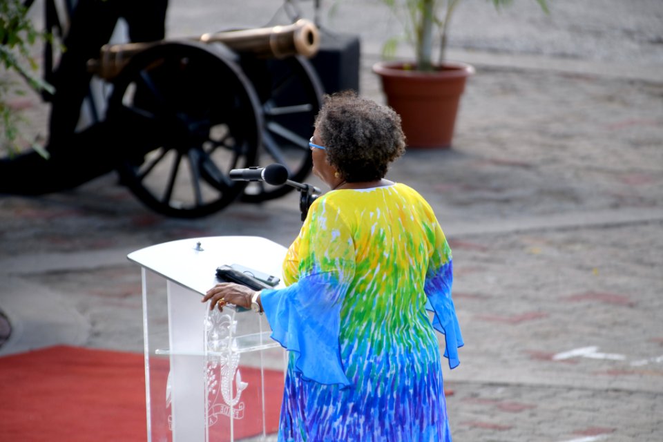 2020 Independence Day Parade and National Awards Ceremony (50665020008)