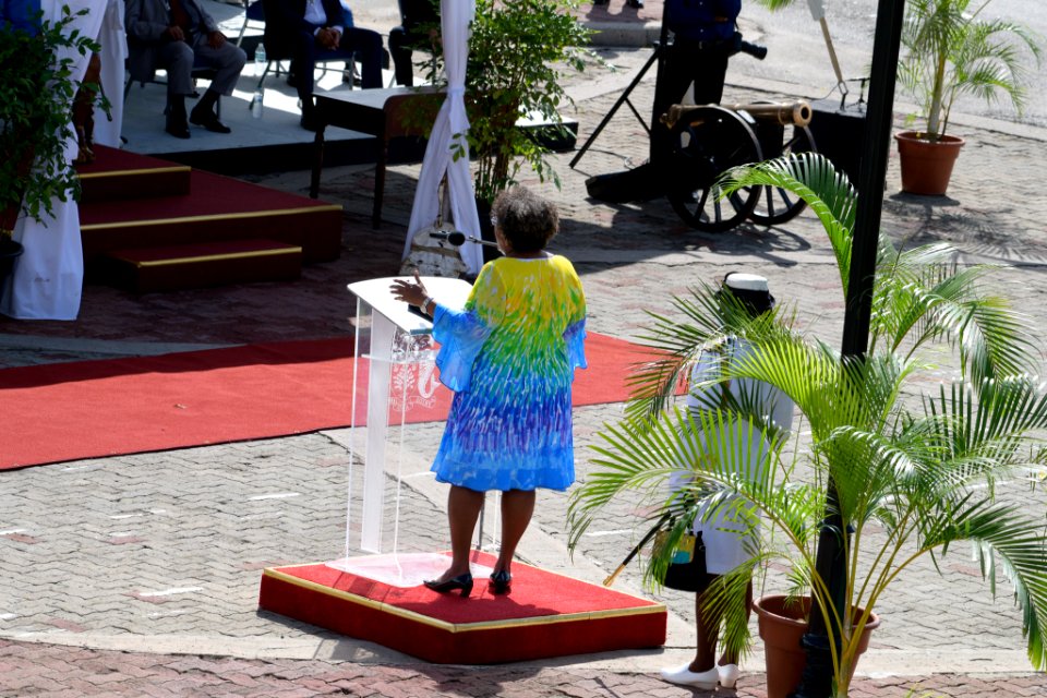 2020 Independence Day Parade and National Awards Ceremony (50665767206)